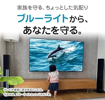液晶テレビ保護パネル 43インチ ブルーライトカット 固定ベルト付き 地震対策 Amazon | MMK ブルーライトカット 液晶テレビ保護パネル 43